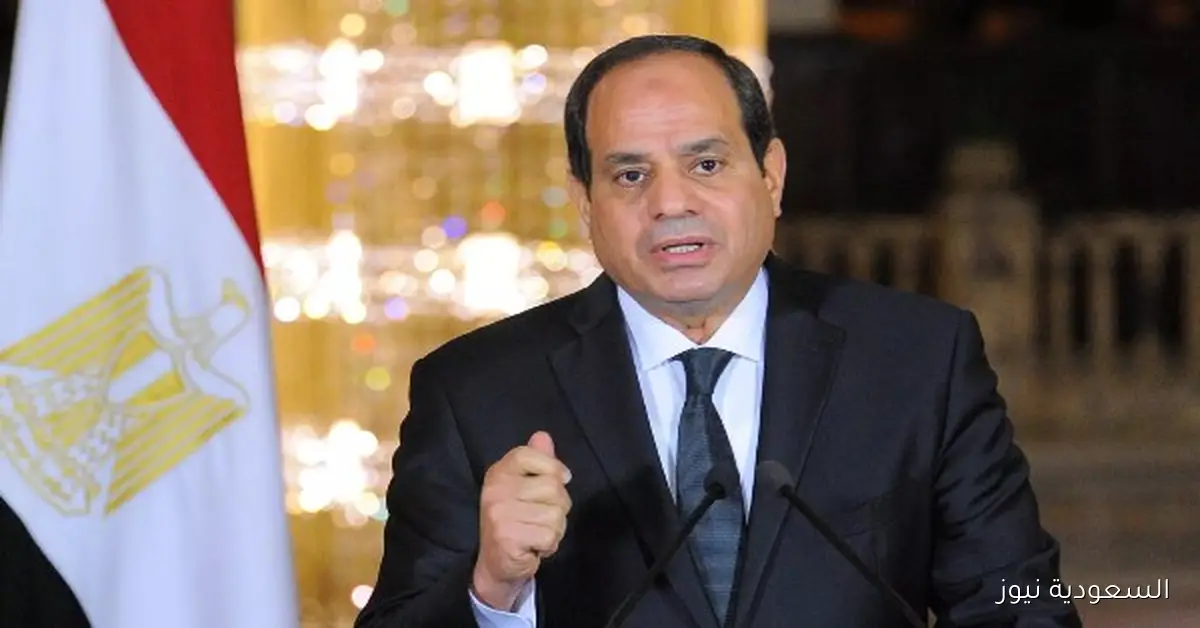الرئيس السيسي يشجع الشركات الكورية على استكشاف فرص الاستثمار في مصر