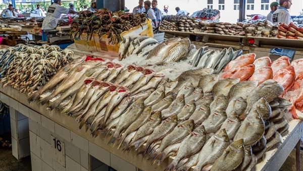 أسعار الأسماك في سوق العبور اليوم الثلاثاء 28 أكتوبر 2025