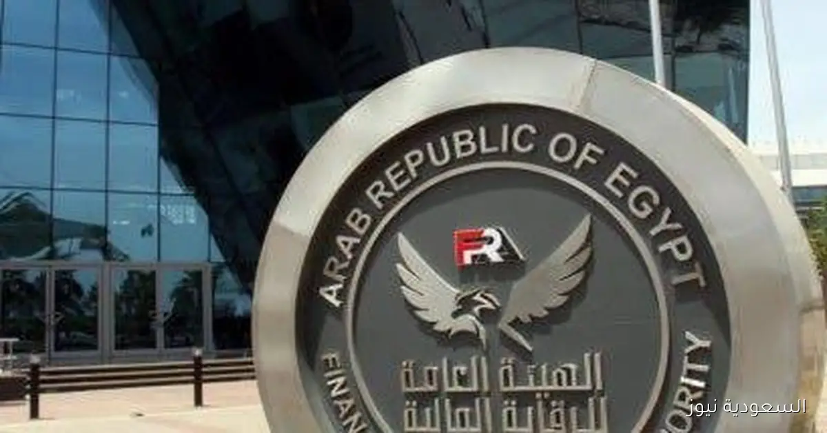 الرقابة المالية تنظم إصدار وتوزيع وثائق التأمين بطريقة رقمية