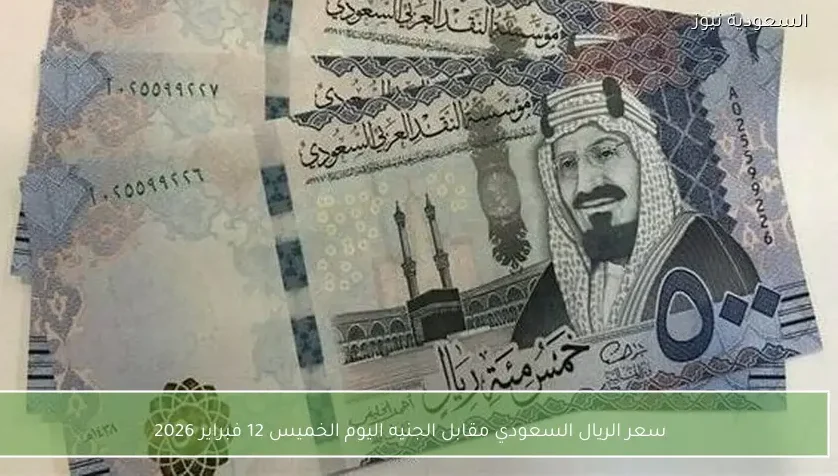 سعر الريال السعودي مقابل الجنيه اليوم الخميس 12 فبراير 2026