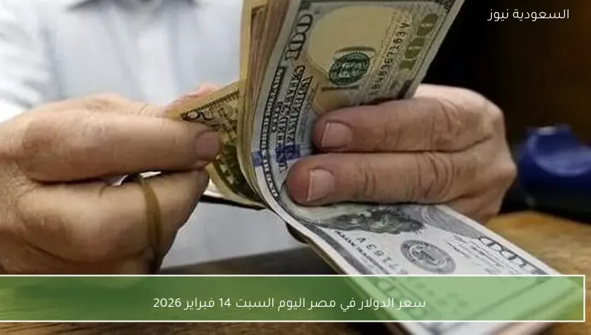 سعر الدولار في مصر اليوم السبت 14 فبراير 2026