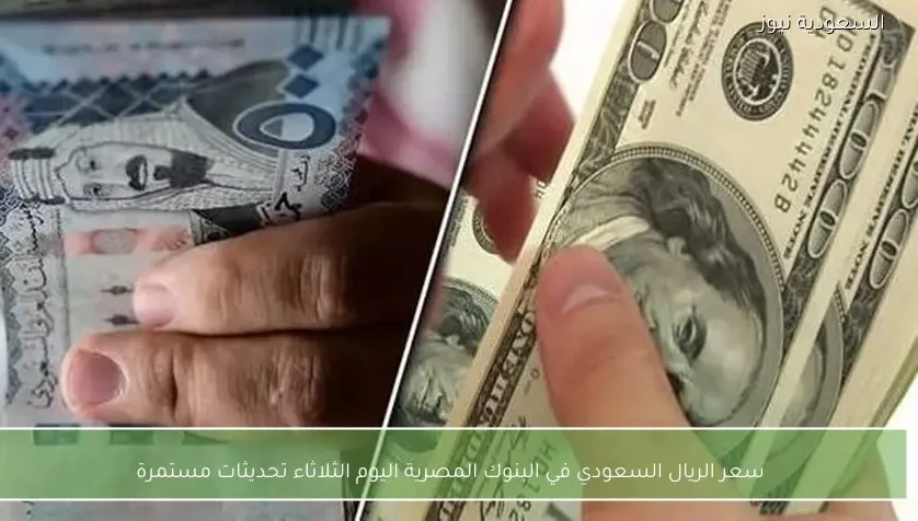سعر الريال السعودي في البنوك المصرية اليوم الثلاثاء تحديثات مستمرة