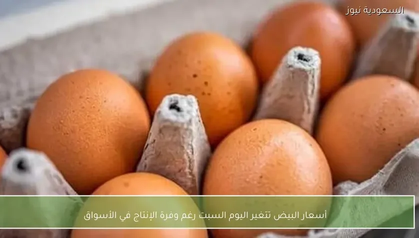 أسعار البيض تتغير اليوم السبت رغم وفرة الإنتاج في الأسواق