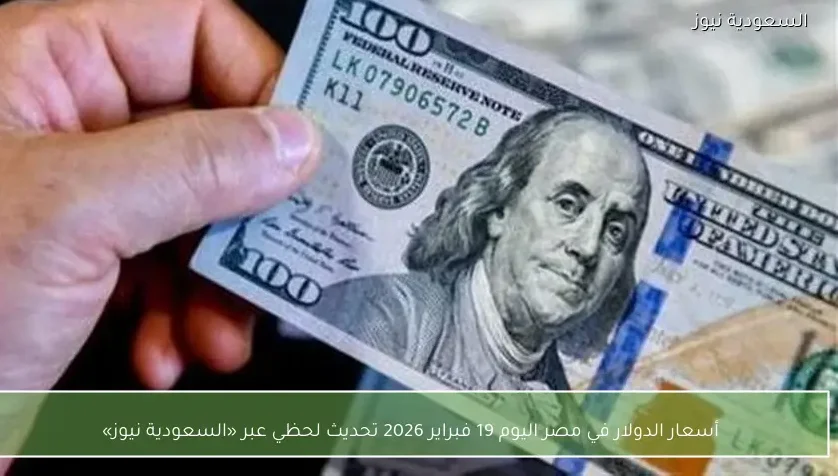 أسعار الدولار في مصر اليوم 19 فبراير 2026 تحديث لحظي عبر «السعودية نيوز»