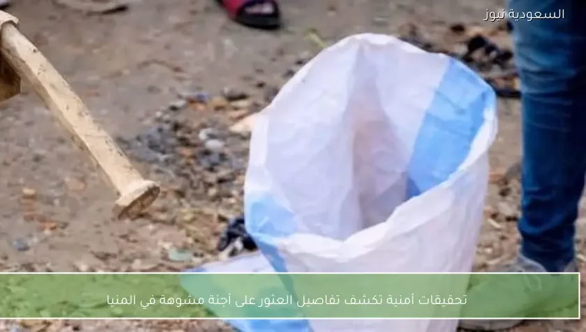 تحقيقات أمنية تكشف تفاصيل العثور على أجنة مشوهة في المنيا
