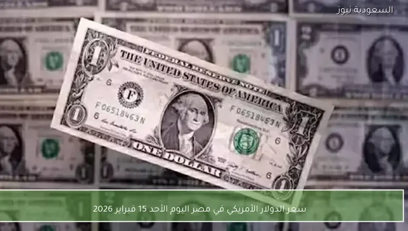 سعر الدولار الأمريكي في مصر اليوم الأحد 15 فبراير 2026