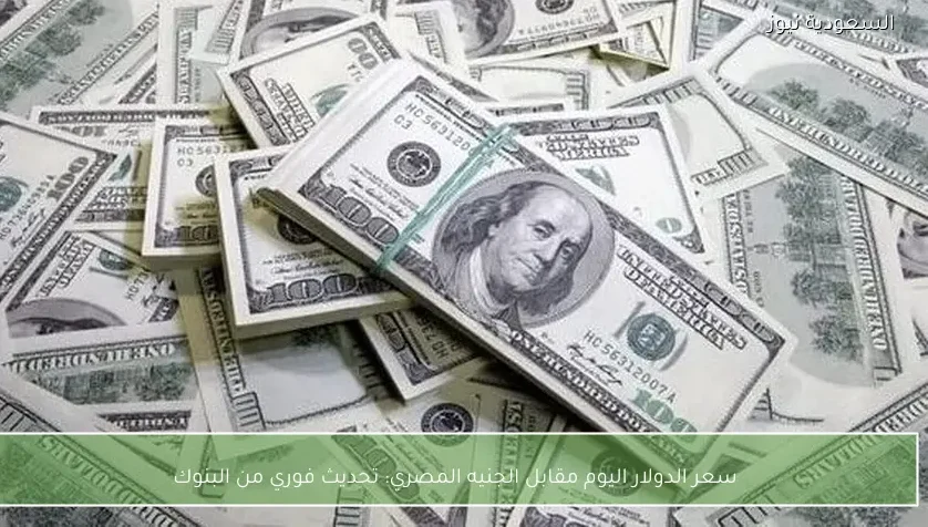 سعر الدولار اليوم مقابل الجنيه المصري: تحديث فوري من البنوك