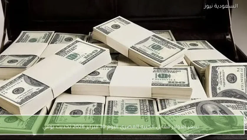 سعر الدولار مقابل الجنيه المصري اليوم 10 فبراير 2026 تحديث يومي