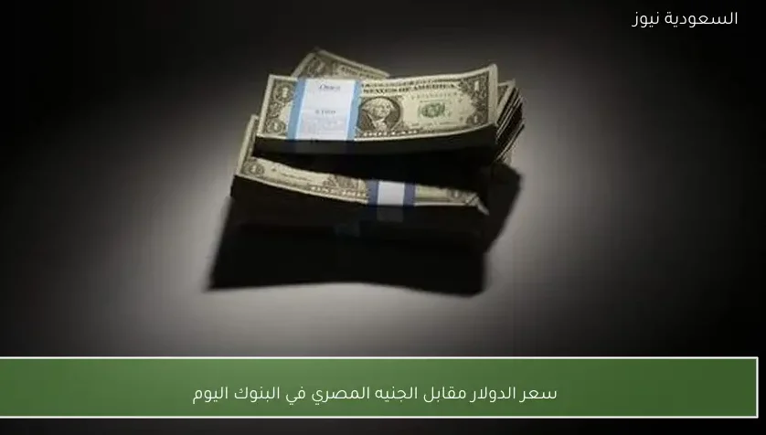 سعر الدولار مقابل الجنيه المصري في البنوك اليوم