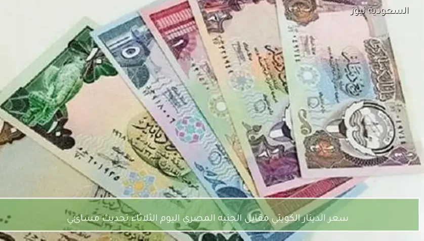 سعر الدينار الكويتي مقابل الجنيه المصري اليوم الثلاثاء تحديث مسائي