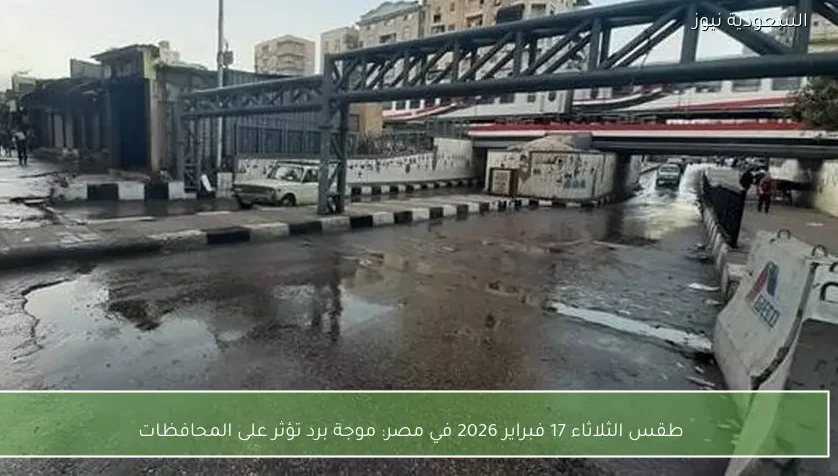 طقس الثلاثاء 17 فبراير 2026 في مصر: موجة برد تؤثر على المحافظات