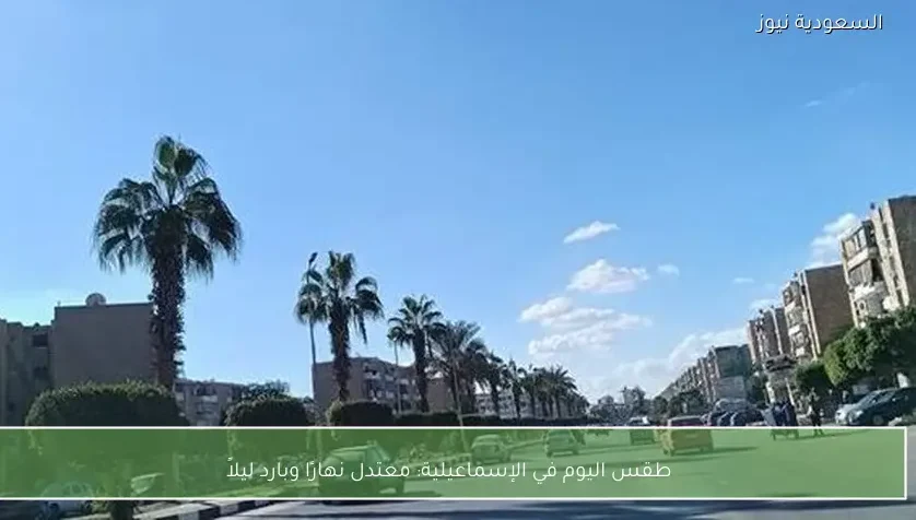 طقس اليوم في الإسماعيلية: معتدل نهارًا وبارد ليلاً