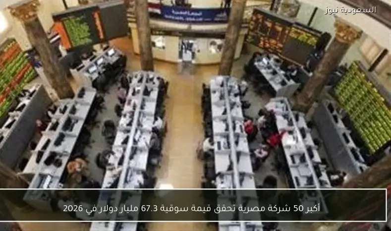 أكبر 50 شركة مصرية تحقق قيمة سوقية 67.3 مليار دولار في 2026