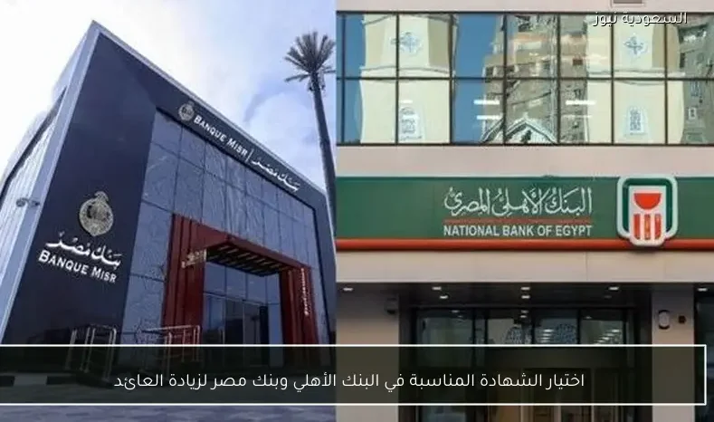 اختيار الشهادة المناسبة في البنك الأهلي وبنك مصر لزيادة العائد