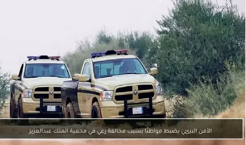 الأمن البيئي يضبط مواطنًا بسبب مخالفة رعي في محمية الملك عبدالعزيز