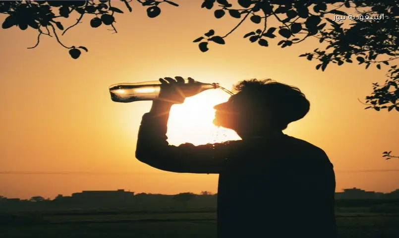 حالة الطقس غدًا الأربعاء أول أيام العيد 2026 وتحذيرات من الشبورة والرياح